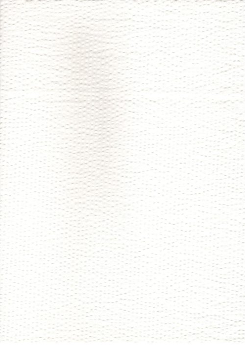COTTON SEERSUCKER WHITE WOVEN FABRIC (FC556)