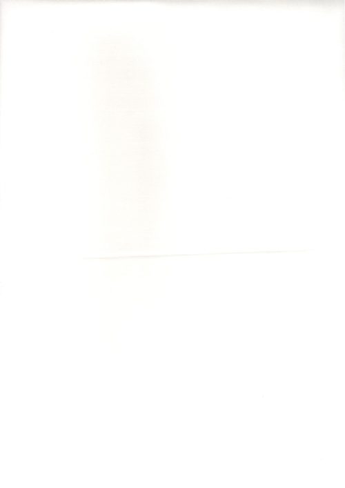 COTTON WHITE FABRIC (FC 106)